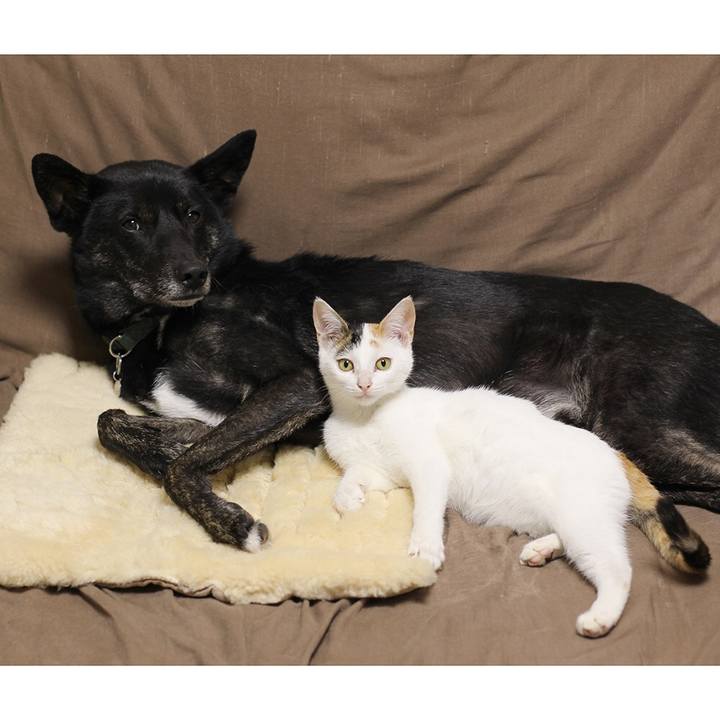 11d81643 62b6 41e3 b28a 93e0cef6b3c1 1542292856883