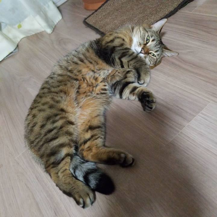 11d86465 f0c3 4877 a122 b296611999c6 1587036385163