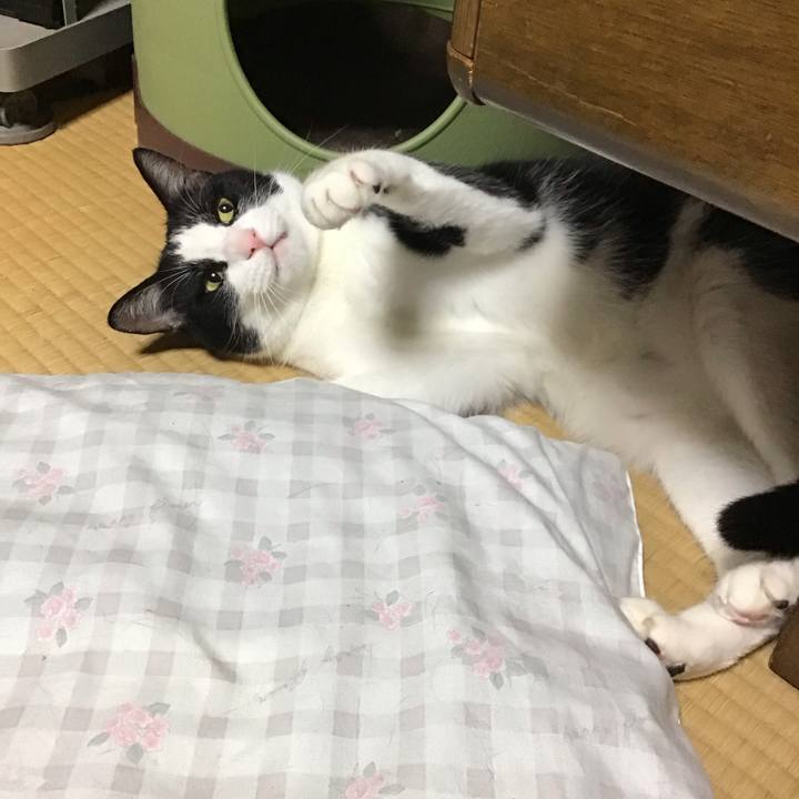 11d86af5 03e8 4f75 8d66 cd78ba359152 1689679758744