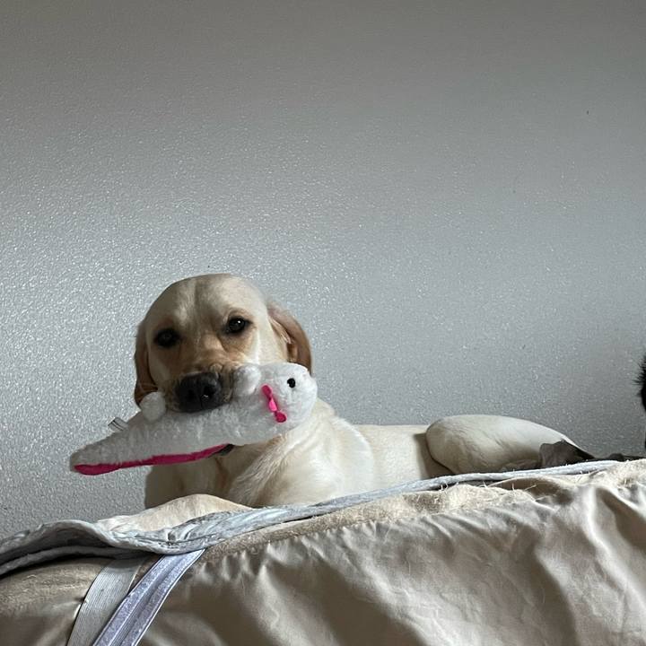 11d873fa 886b 4f4a 9499 7c69a9af4ead 1659144734470