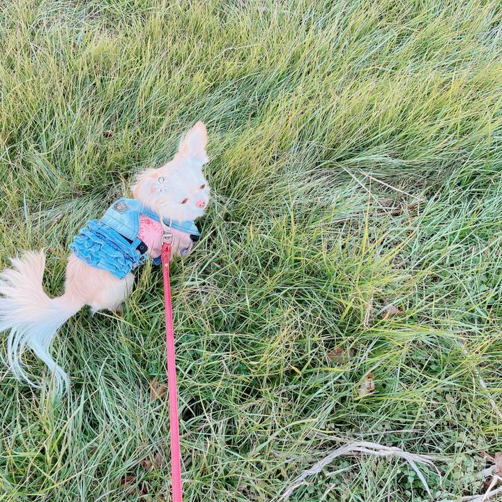 11d88ed2 d943 477b 8db7 1cb15914c3e1 1673430558898