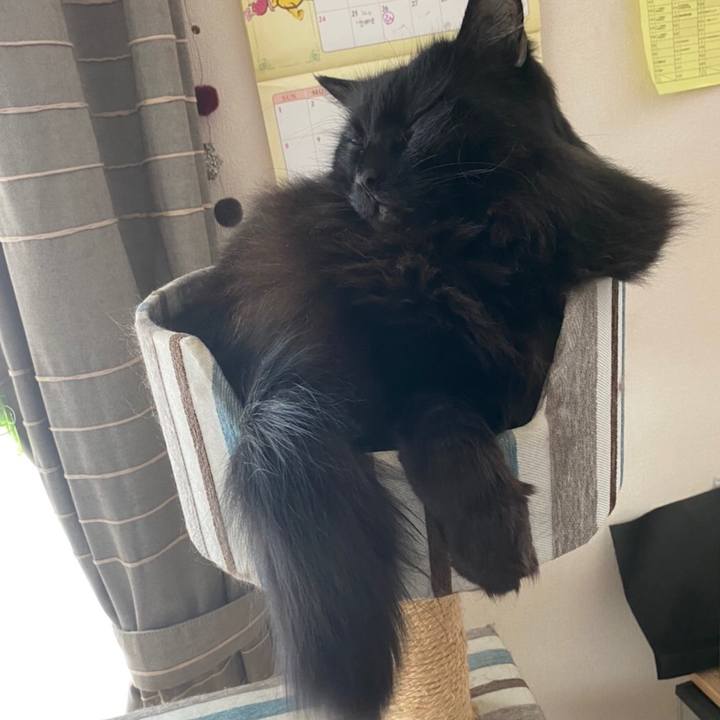 11d8c312 93d4 4659 a76a 070d10faec9e 1575868815102