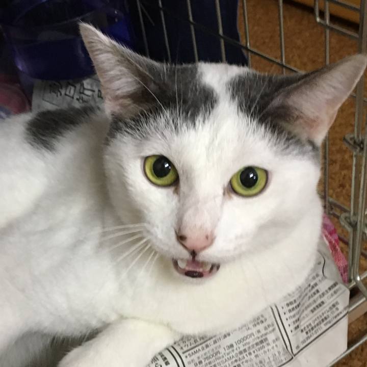 11d8e353 f435 45ce 9aa2 3d7ea4832773 1538390105342