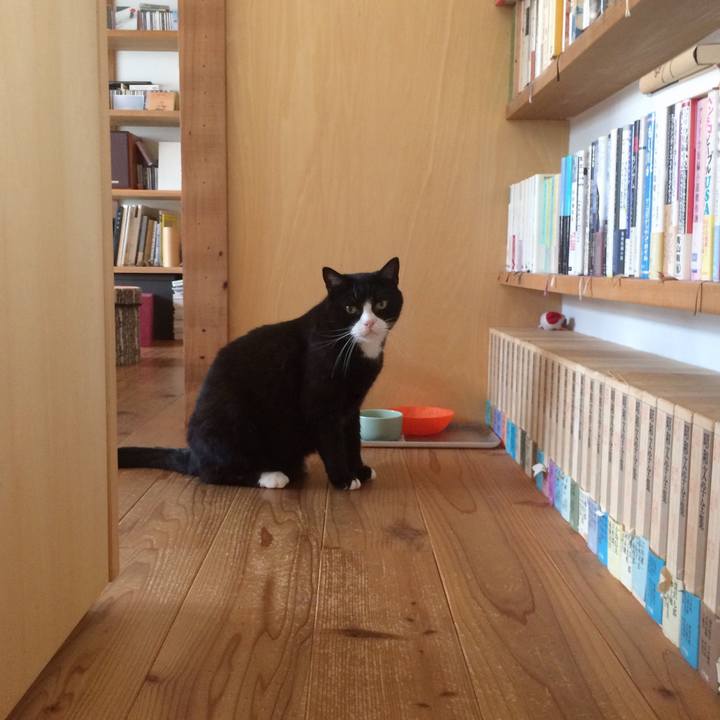 11d90bf7 b555 465d 994f e2dd44b560b2 1531483983622