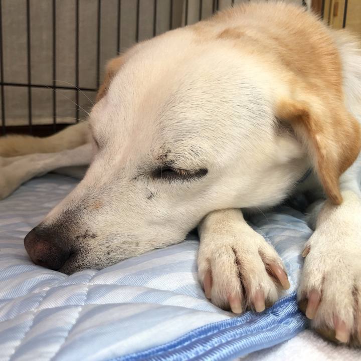 11d92f8c 8c0f 4e3c a9c9 39f330d26459 1629554642176