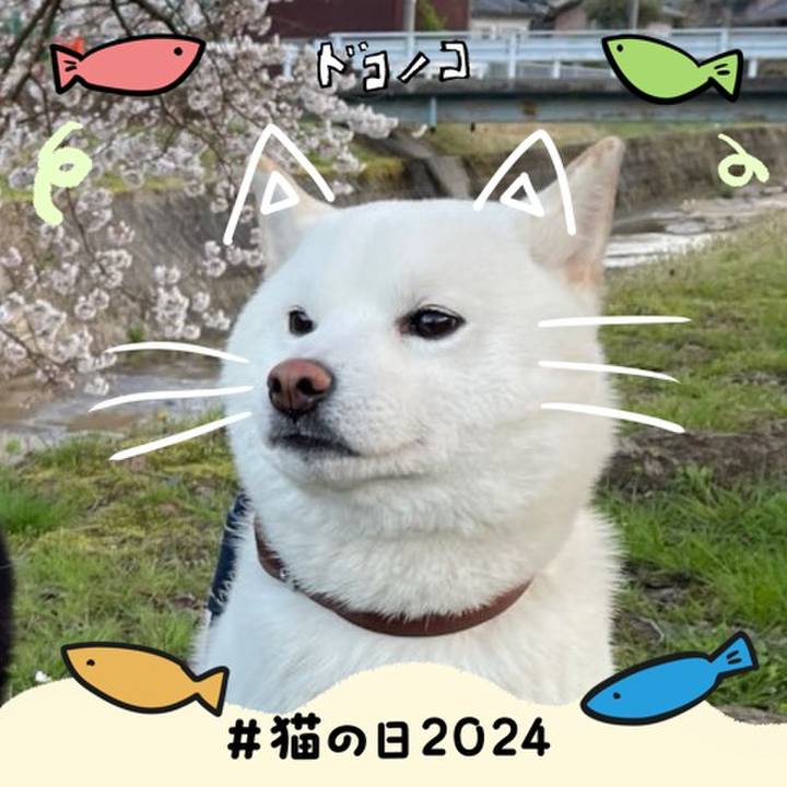 11d93641 a8fd 40de ab4d 2b85a9606042 1708572162859