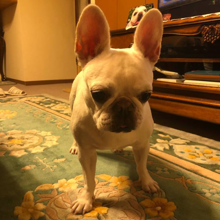 11d94326 f3d3 4827 8318 7a36cd6806af 1661859051042