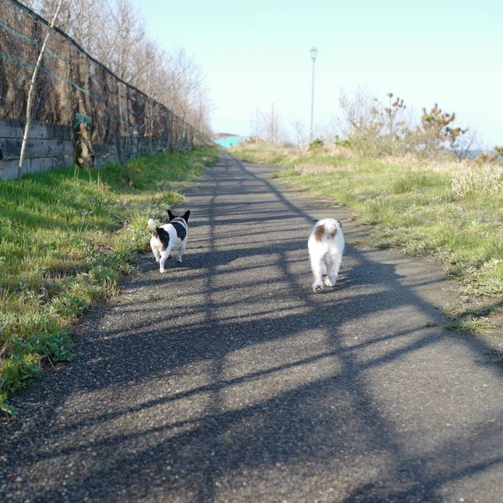 11d95050 216c 4372 b9e4 8f3216c41b18 1555302522591