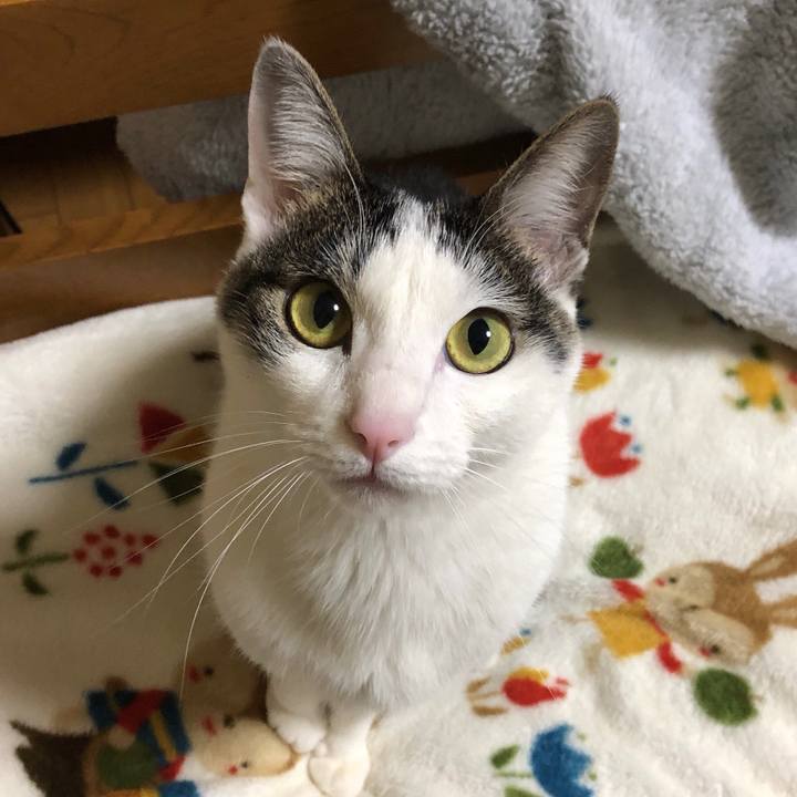 11d998c6 234a 4632 82ac b9074d5278d0 1613659788960