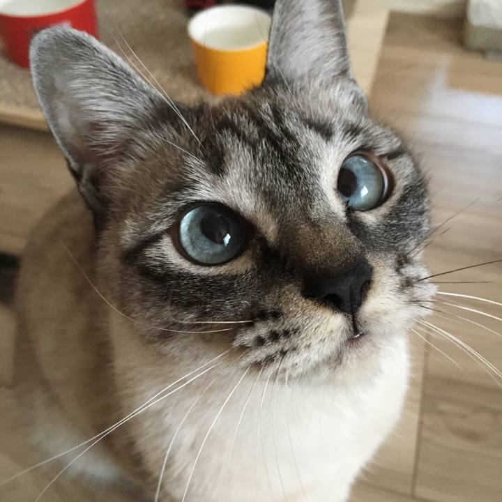 11d9a5da 04bd 4c04 a980 63b1ef4ff89b 1580691169773