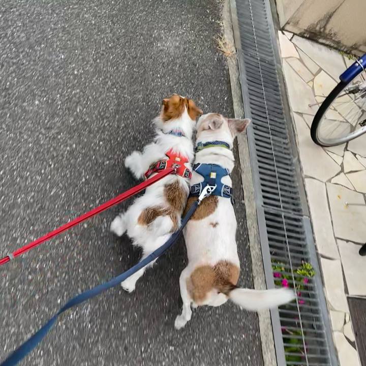 11d9bb90 5230 49b3 99bd 7da3c4c2b9e2 1662589946982