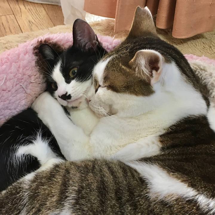 11d9f674 bab3 439e a96a be48b3a85d64 1581393922613