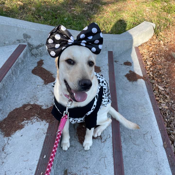 11da5774 219d 4adc 8bba 58852504086a 1642600919901