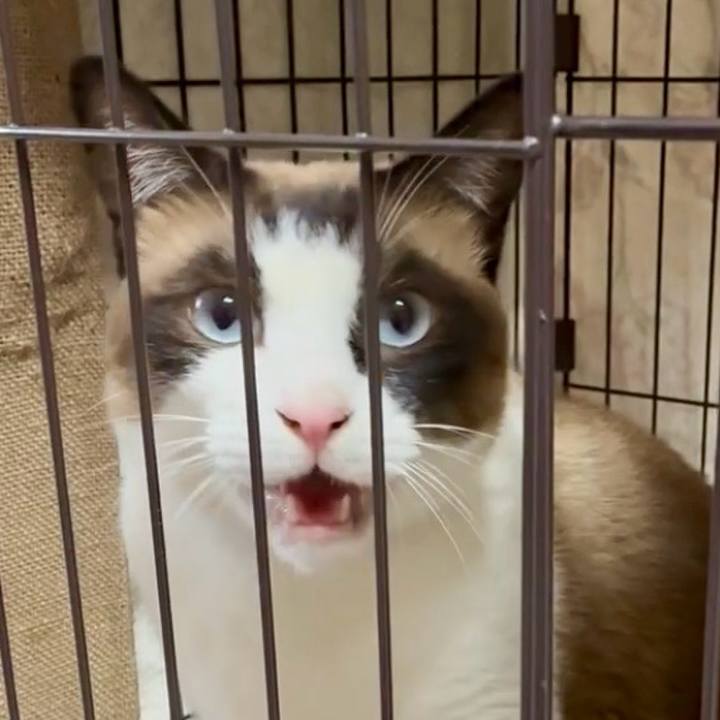 11dac16d 11b2 454f 97f8 6eb54d71d495 1753708470818