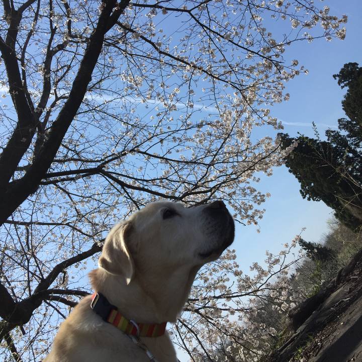 11db3e66 6599 4ee0 9ad3 3b3f65c5d0ae 1615865370243