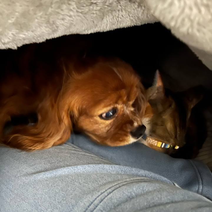 11db42c4 ea5b 4431 86b4 e46ce15d53b0 1670071959972