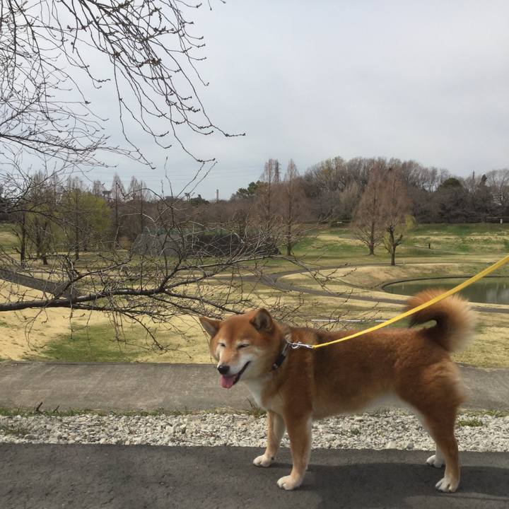 11db9aad b5df 4525 bc5e 4905e7a2a0ca 1552976125768