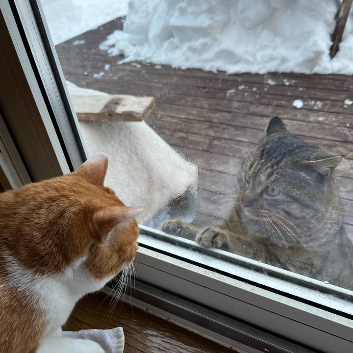 11dbced8 430e 434b ace7 44282f7751fa 1740123853358