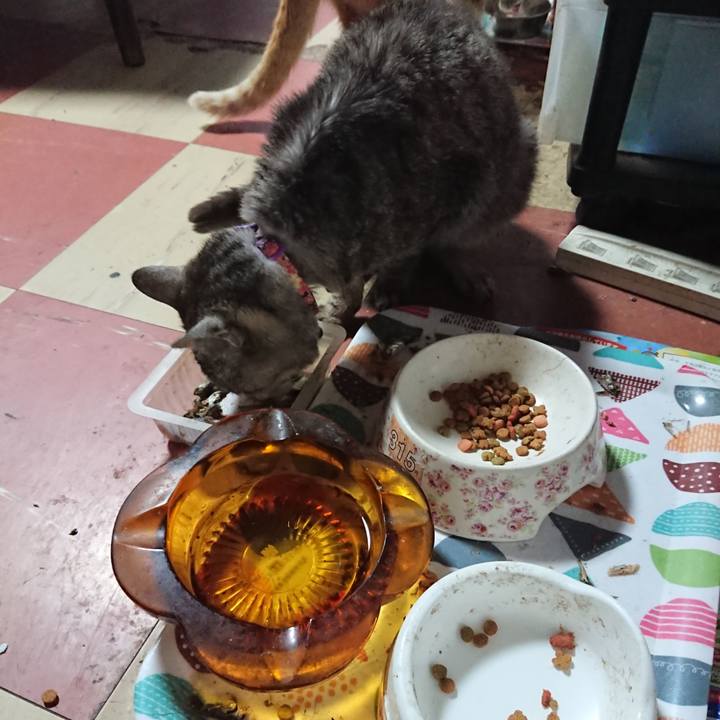 11dbe749 216f 4490 95b9 aff9f261d88b 1593422500601