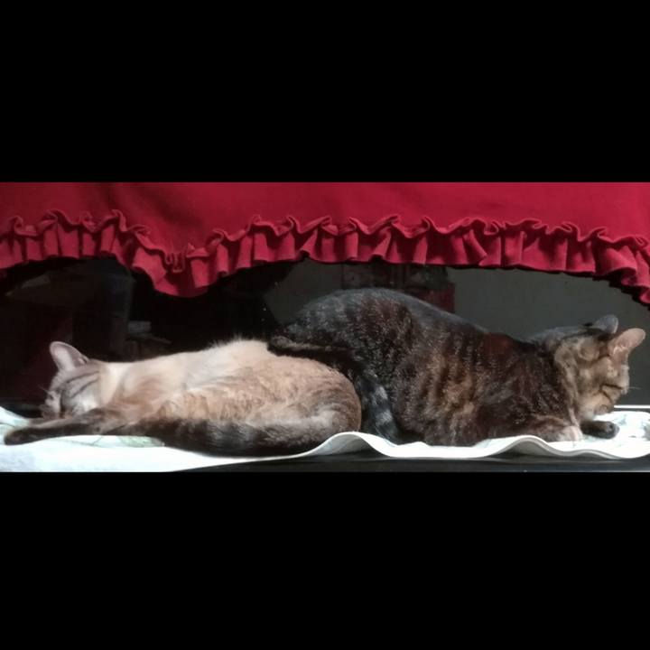 11dbf198 5577 48f9 899d 1d074dba8b75 1593438563996