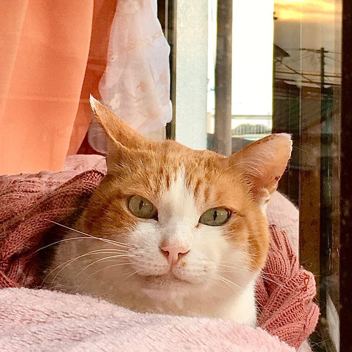 11dc0573 ed26 443f bdc9 affb5e8e2e1d 1573110965124