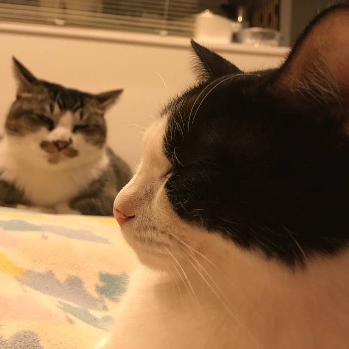 11dc4ea4 7317 49bf b698 9b68cd5355cc 1528204796401