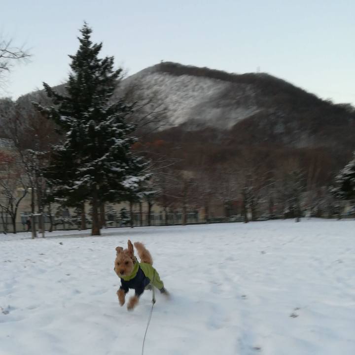 11dc8089 71cf 4866 94ed 2b6c15f29c9f 1574723855186