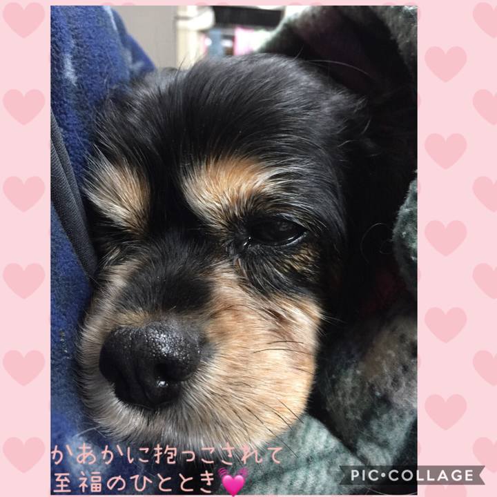 11dce601 7199 4d8c abe3 21726a260228 1550405451238