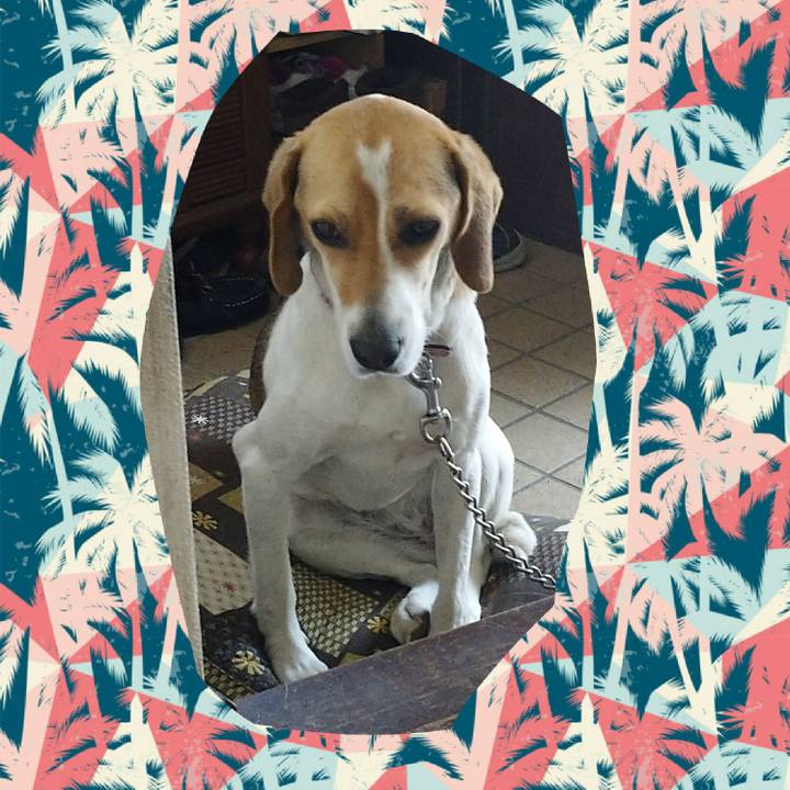 11dce67a 9c27 4d6a 8b42 cfb9930edbe5 1591583850482