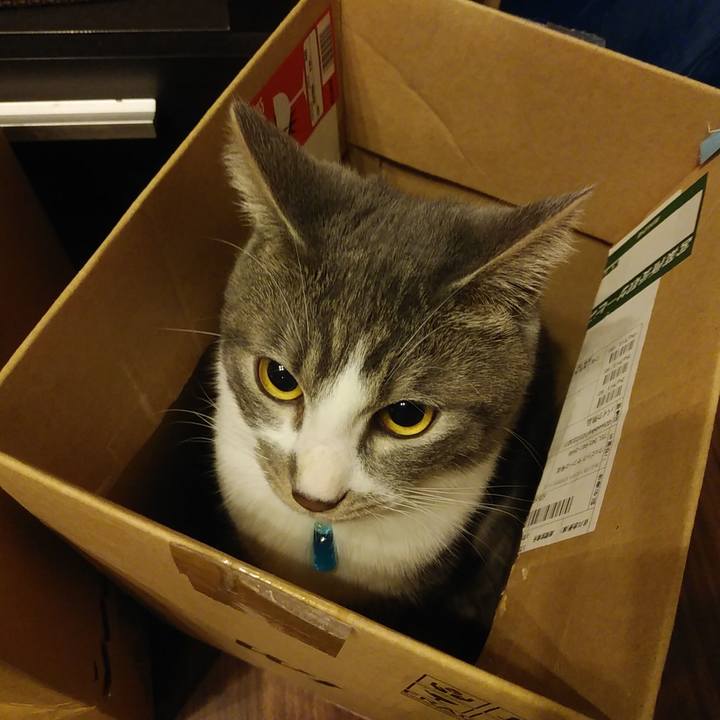 11dcedfc 628a 4104 bb3c 6907c8987576 1580565594830