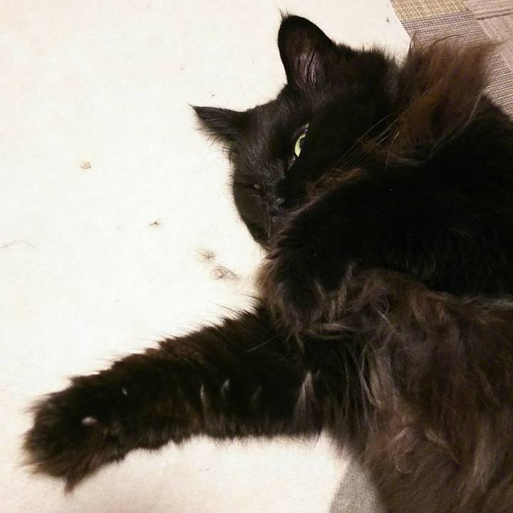 11dd18da 5e2d 4d40 ac12 a047c56a7e1a 1543230269189