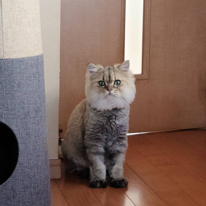 11dd27b6 27eb 4113 bc9a 9cda3ca92e78 1601608222109