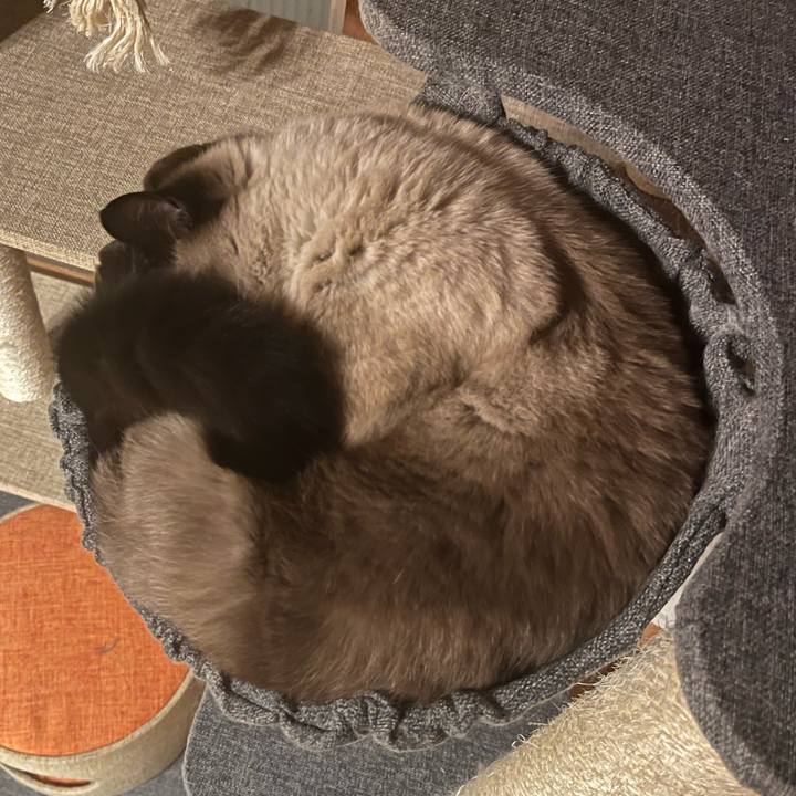 11dd2cd9 a081 4ed8 8610 f178a3ababa2 1635381310215