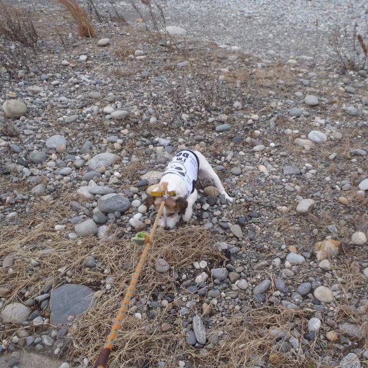 11dd461d 03db 4283 ac07 80b245c169b1 1511439571083