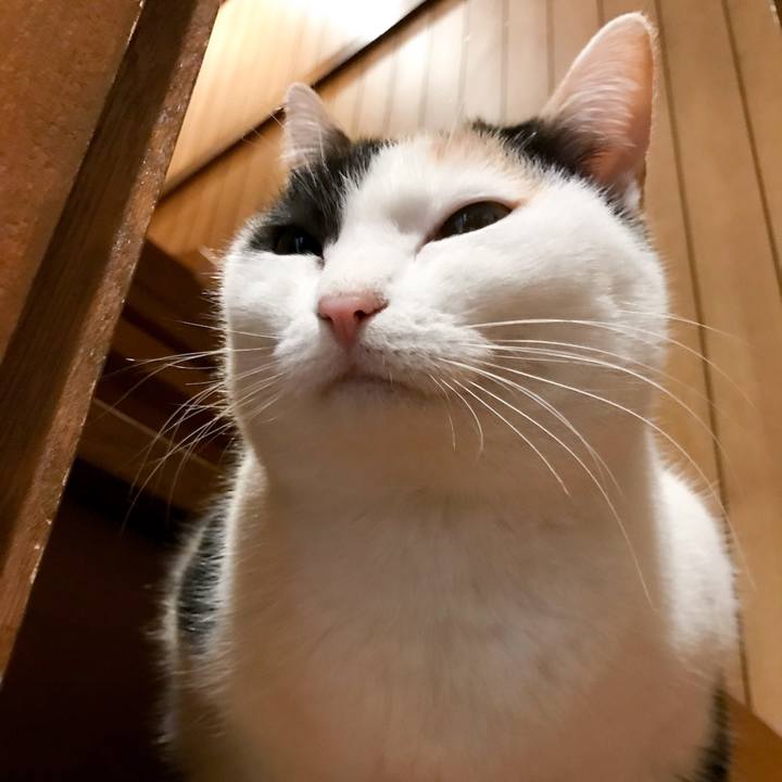 11dda7f2 a7ad 4ab8 934d 58e2e4b90f6d 1519824327429