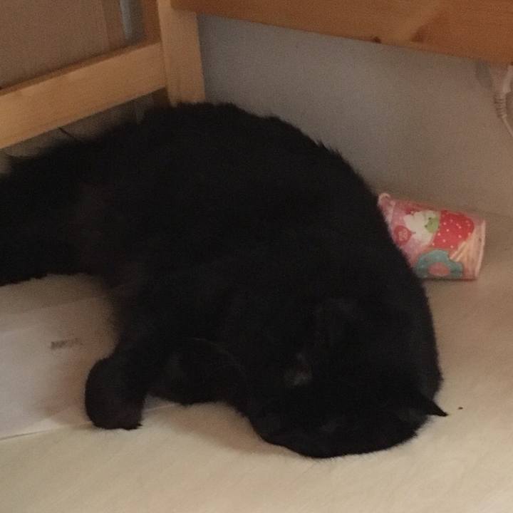 11dda80e ba1a 44e5 a65d 3d7bd2772769 1536281855455