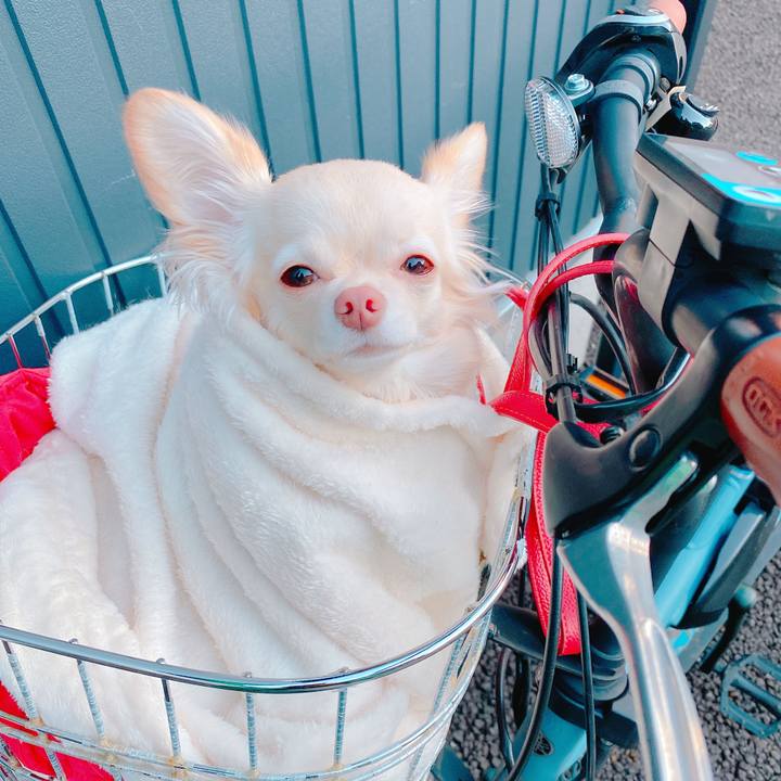 11ddb0b1 f713 4bbe 8557 bb01707c3b93 1639392783460