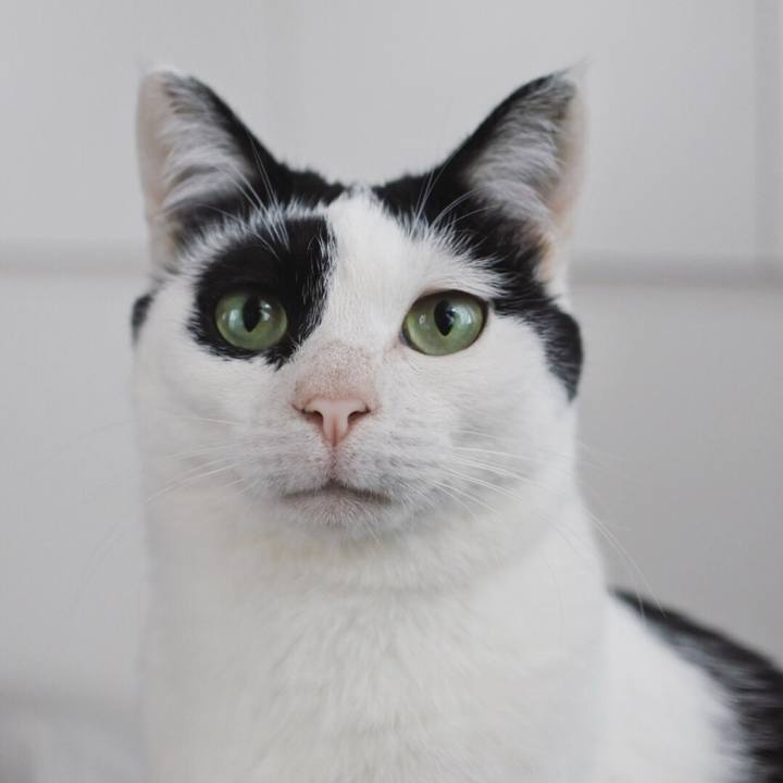 11ddb9aa 7ef8 4e05 9f4c ffc04d24d3fa 1525753365648