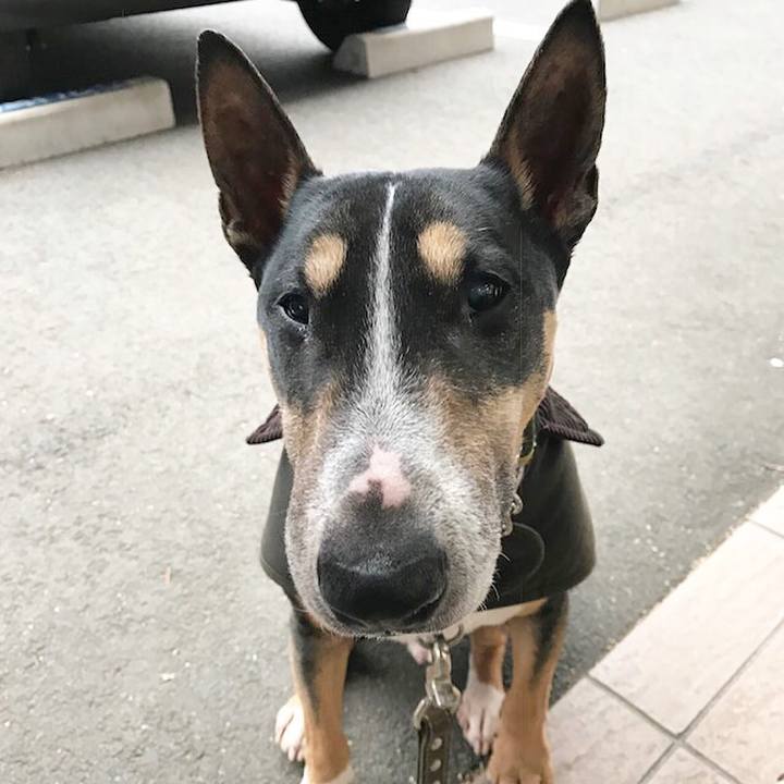 11ddba28 7d6c 44a4 97c8 5976ed32cf79 1519548271745