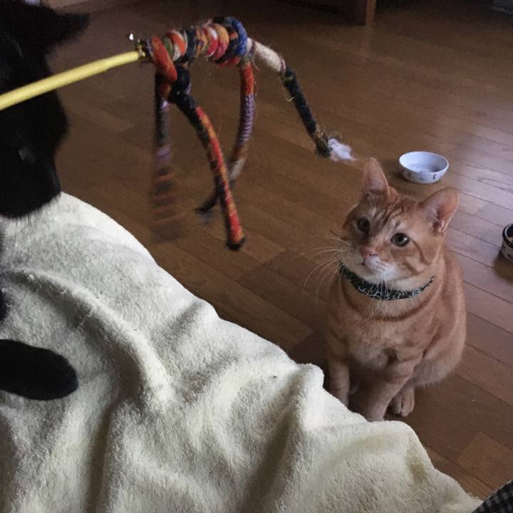 11ddc86e 8b6d 47d5 bc7a 204fe402e13c 1536656381488