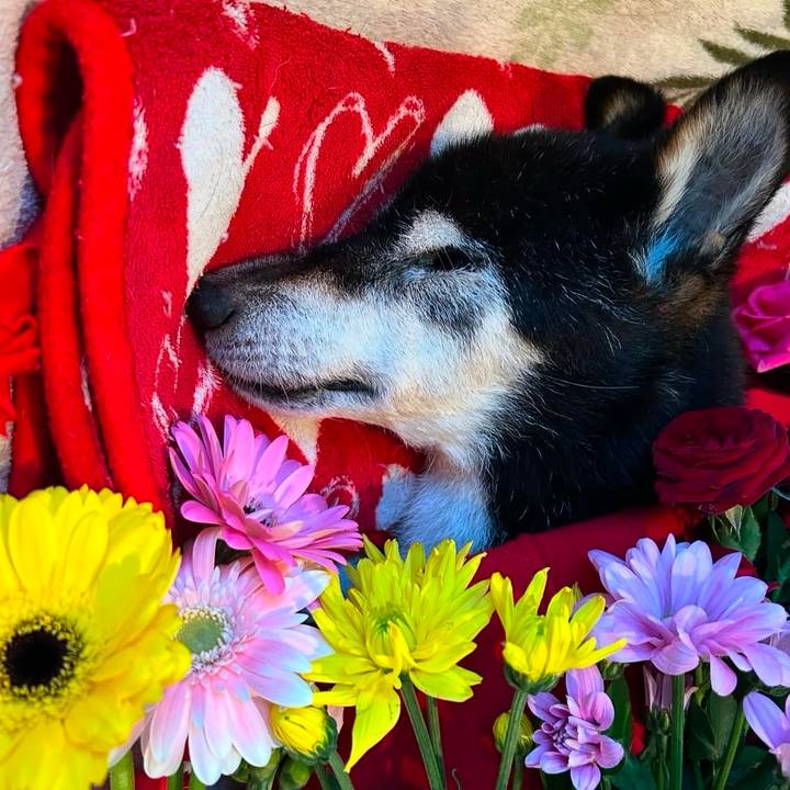 11ddda11 cdfa 47ba 93d3 67fd699c231e 1736075495177