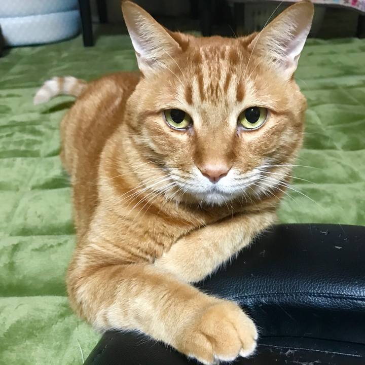 11dde40f 3809 4268 9f6e 4c03e8bd12e8 1521207637330