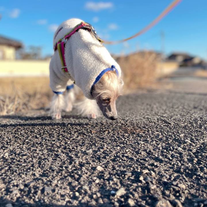 11de177f 462b 41eb ac5b fff2010e2631 1765366355201