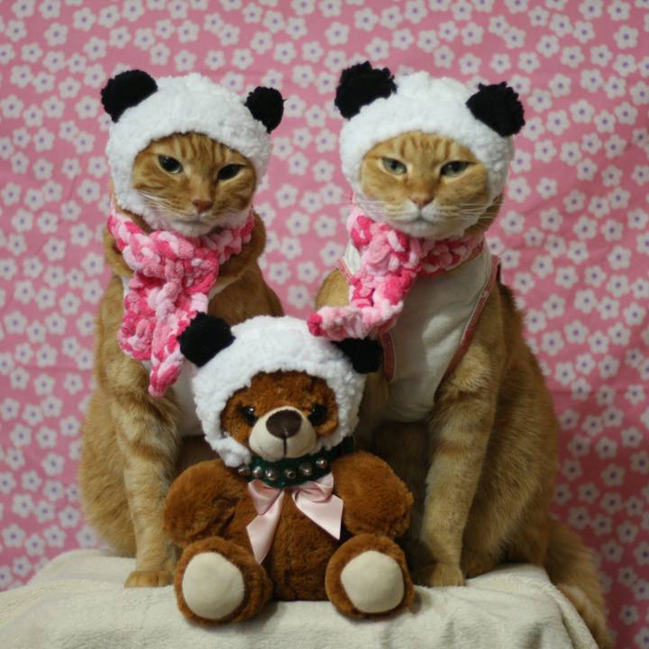 11de4d4b 039a 4314 a450 51674296ff26 1515770928515