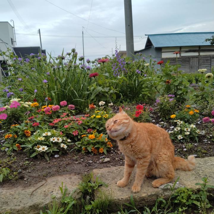 11de9b36 85ab 46c5 a8d2 f91aa115514c 1688078528002