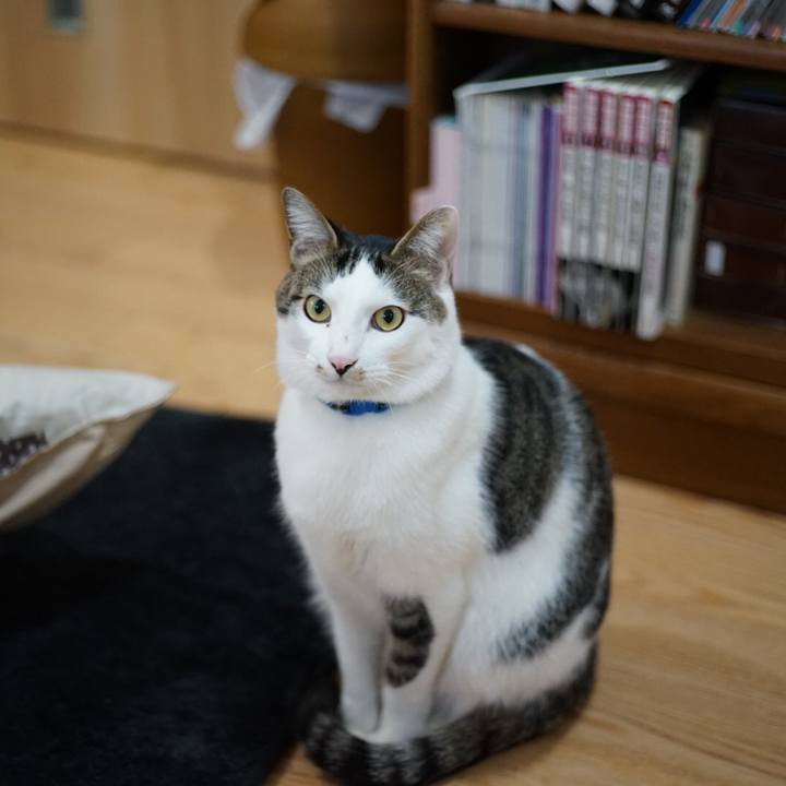 11debdce a040 490e b105 8b9268be6365 1518064477071