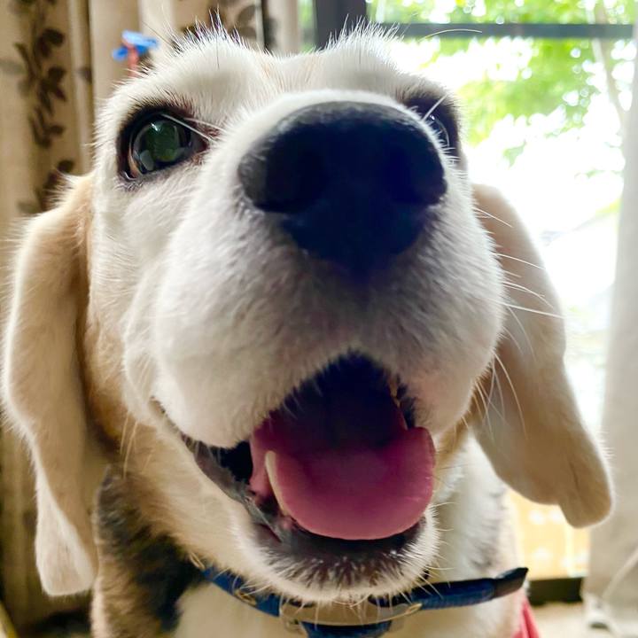 11dec63b 74b3 44cd 9a72 0f77b2ff8ce2 1620792934434