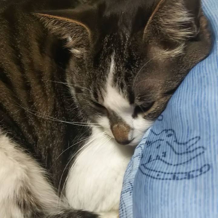 11decad1 d562 4b2f 891a 5245885e9c2f 1612613505726