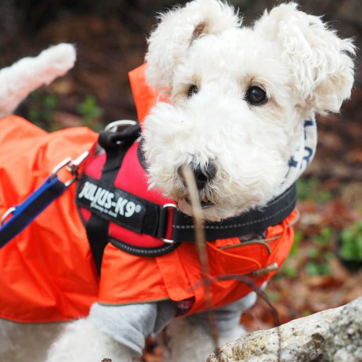 11dedd11 a6e5 4162 bbea 5977ec15c65b 1521615082228