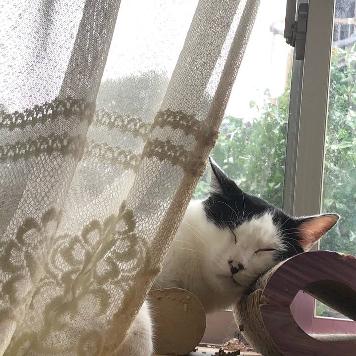 11def021 7451 4b48 980f 65f453e40d9f 1602282855773